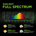 Full Spectrum 200W LED Grow Light